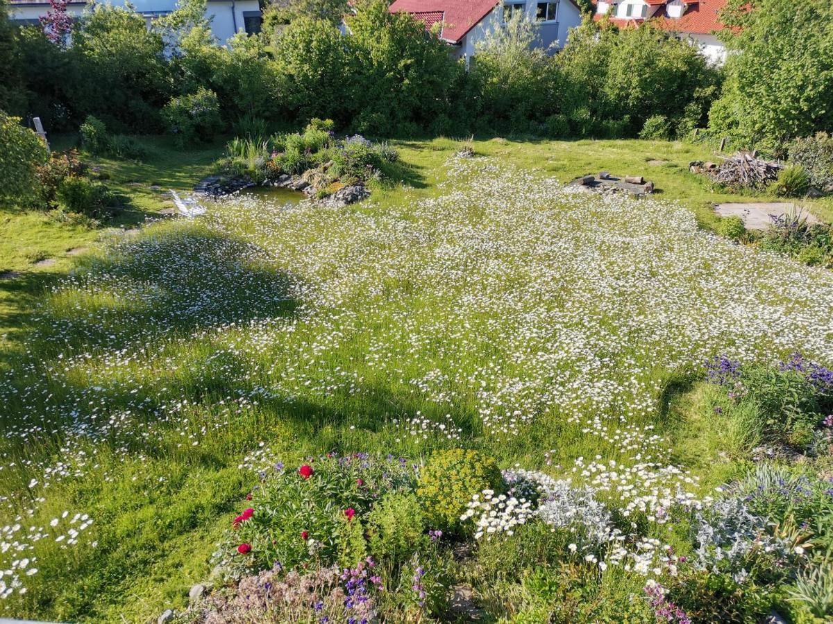 Moderne Ferienwohnung Gartenblick Amtzell Extérieur photo